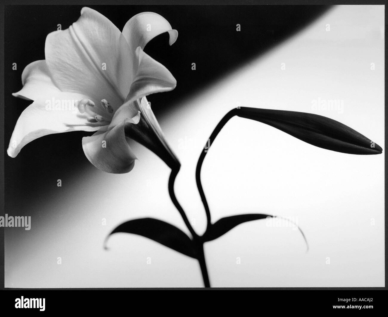 Civil cooperation Black and White Stock Photos & Images - Alamy