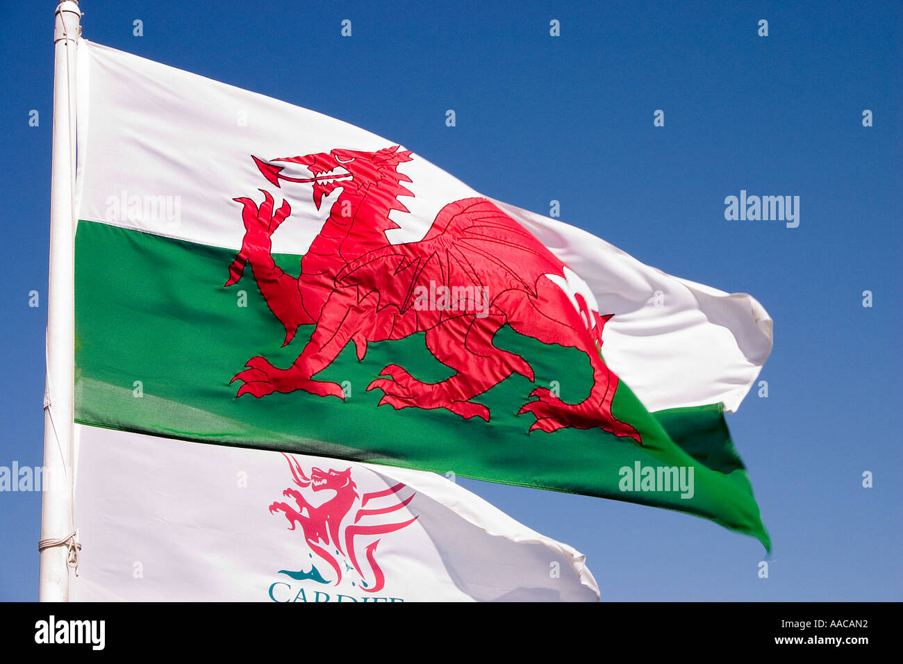 Welsh dragon flag with Cardiff dragon logo flying alongside Cardiff Bay UK Stock Photo