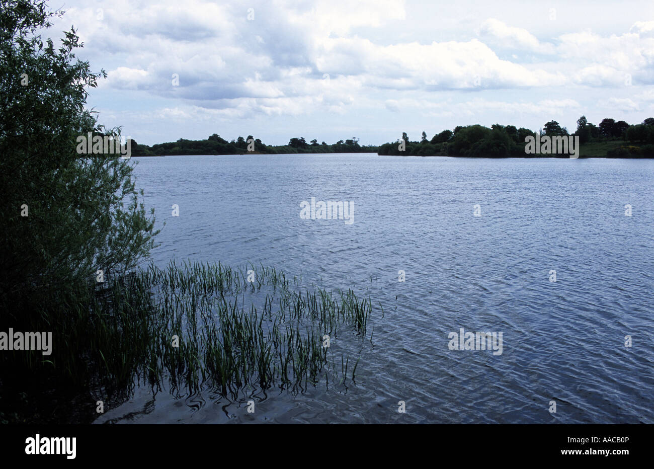 Alton Water reservoir near Ipswich, Suffolk, UK Stock Photo Alamy