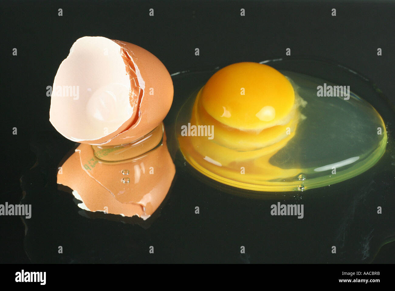 egg Stock Photo