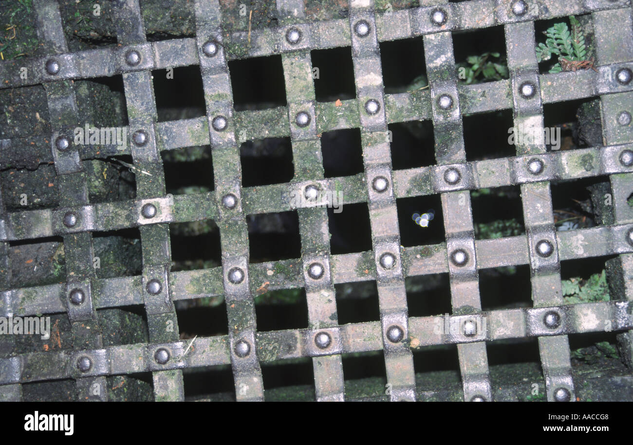 Grid pattern patterns hi-res stock photography and images - Alamy