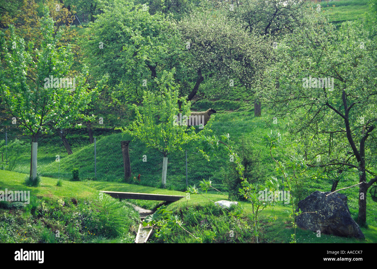 Idyll idyllic idylls hi-res stock photography and images - Alamy