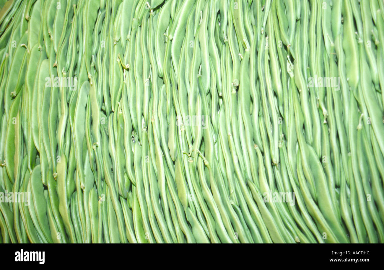 Bean pole hi-res stock photography and images - Alamy