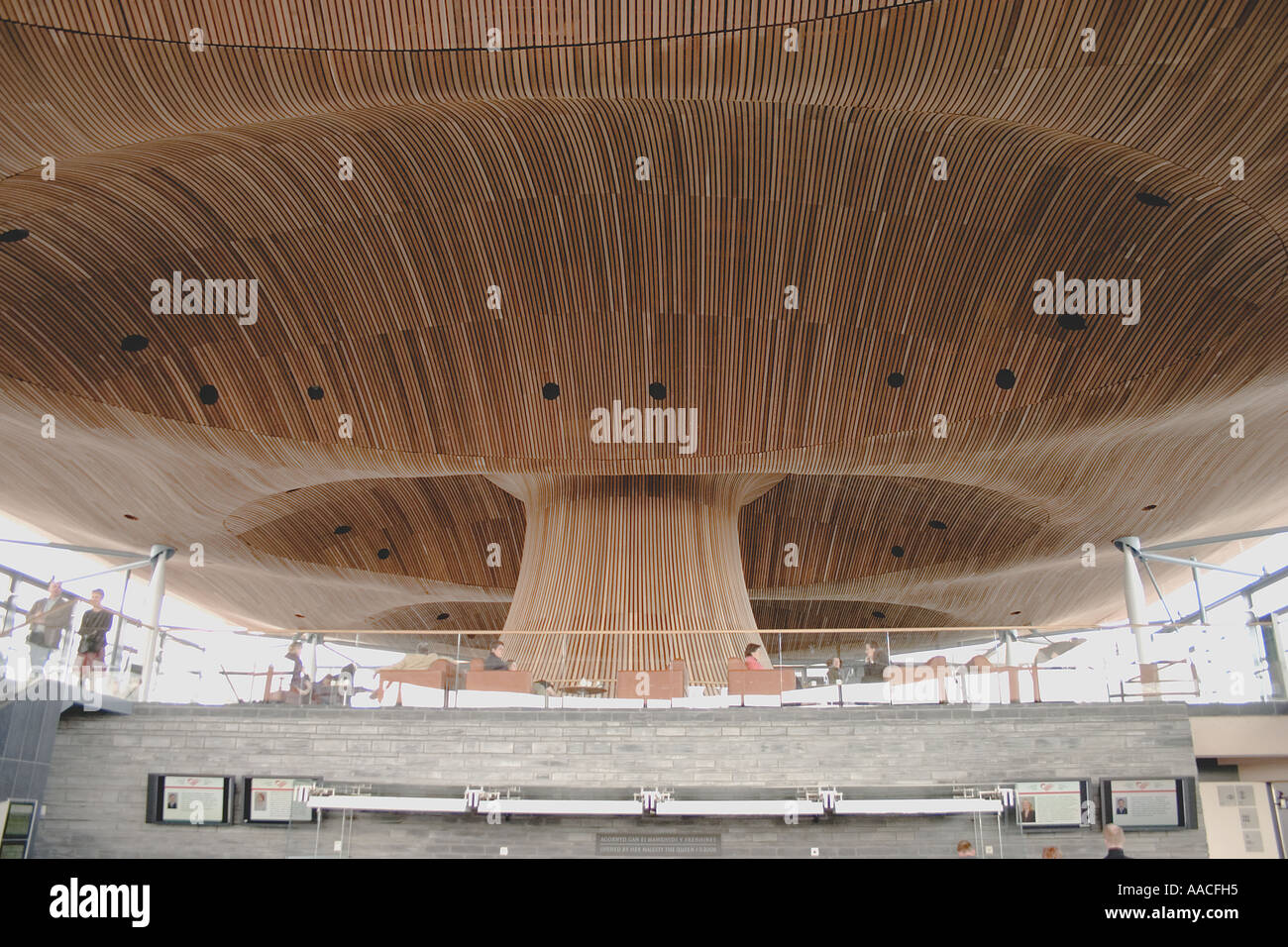 Wood Strip Acoustic Ceiling Of The Welsh Assembly Government