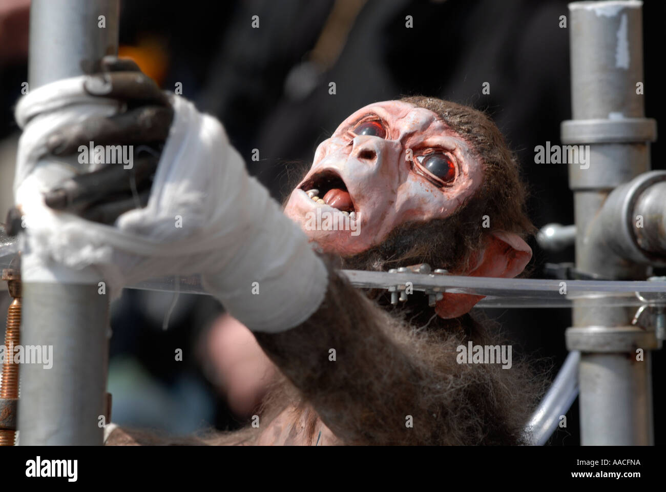Model of an animal experiment at an animal rights demo in Oxford UK ...
