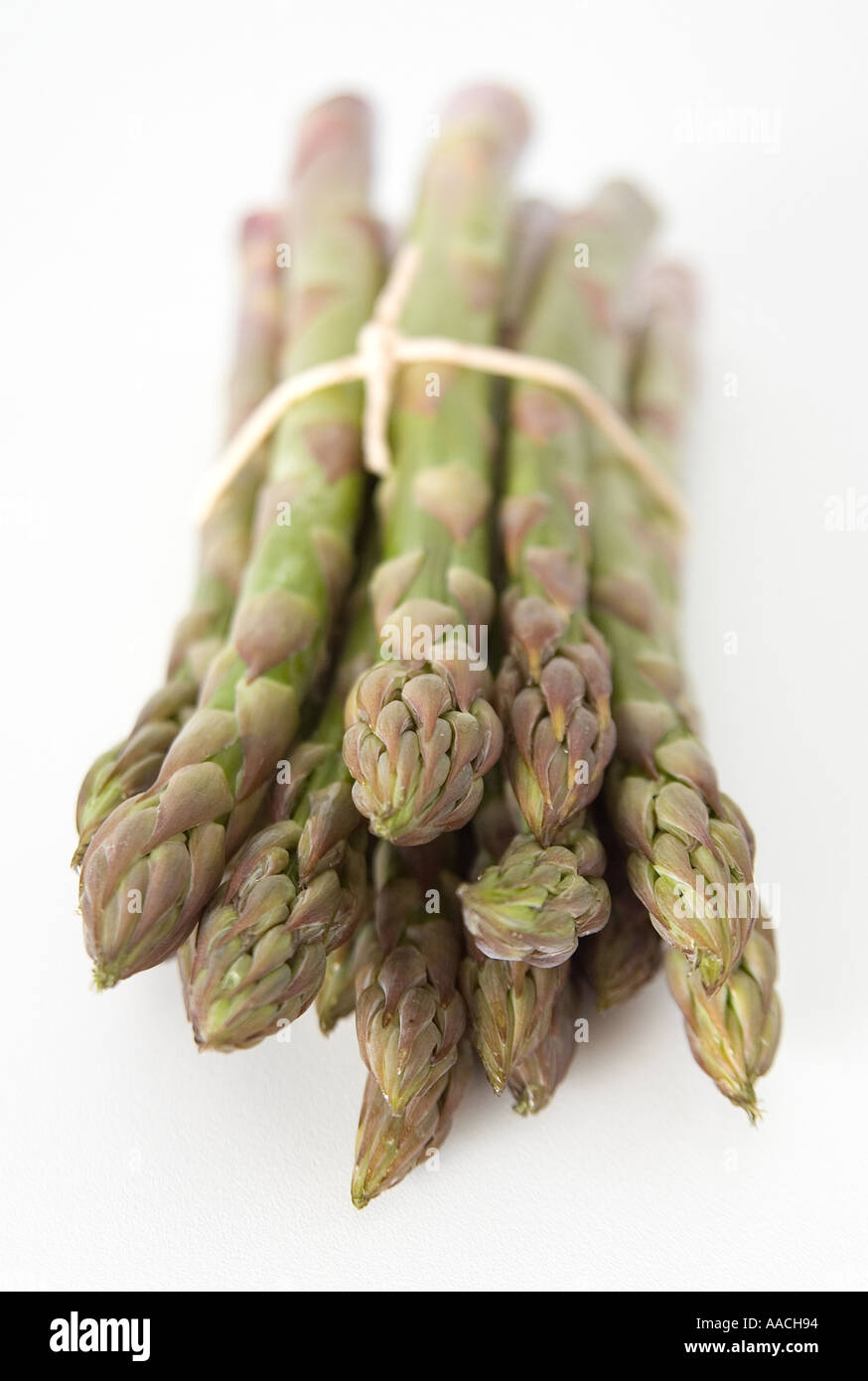 Fresh asparagus tied up with string. Shot from the tip-end with a narrow depth of field on a white background. Stock Photo