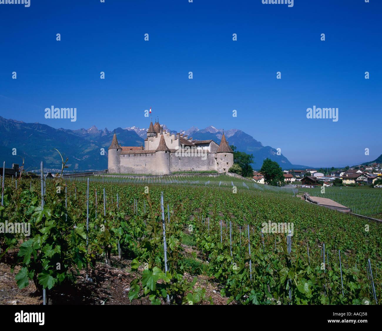Chateau and Vineyards Aigle Vaud Canton Switzerland Stock Photo Alamy