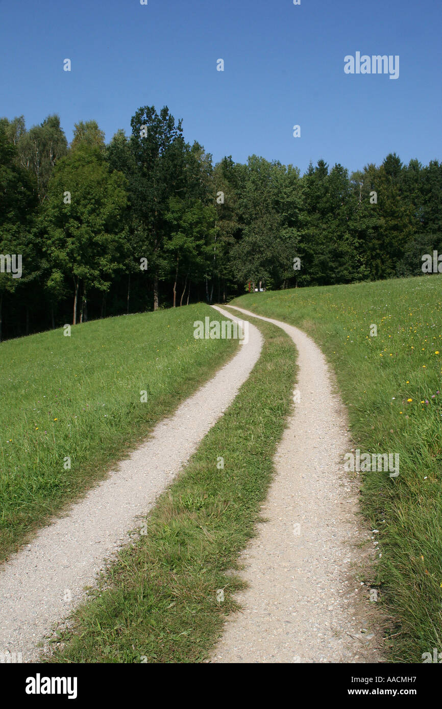 Meadow path Stock Photo
