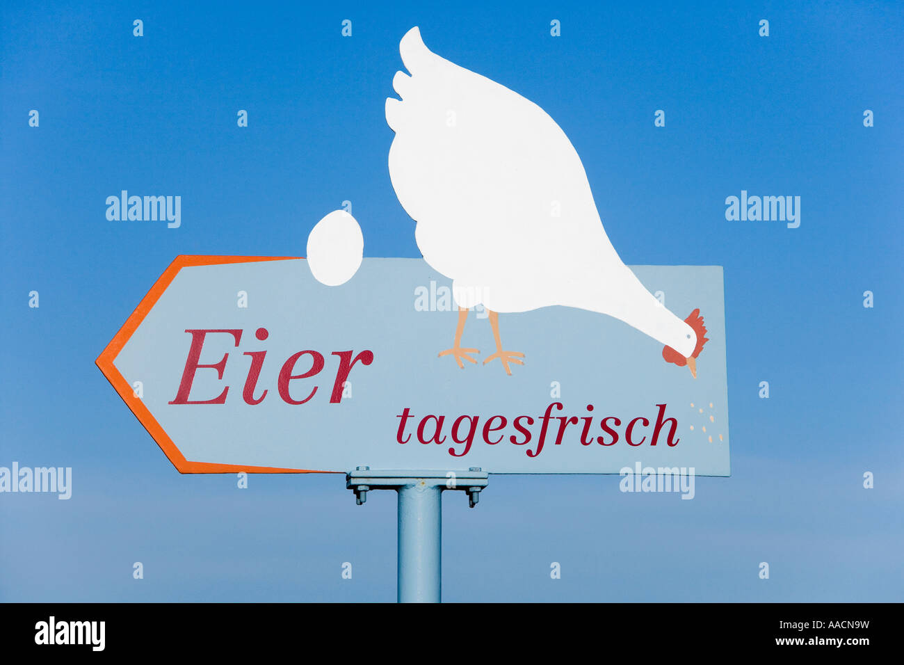 Advertisement for fresh eggs Stock Photo