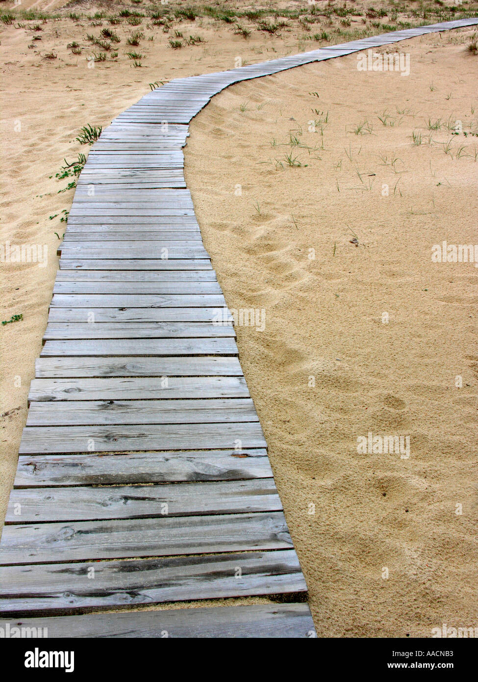 wooden footbridge through sand on a beach Stock Photo - Alamy
