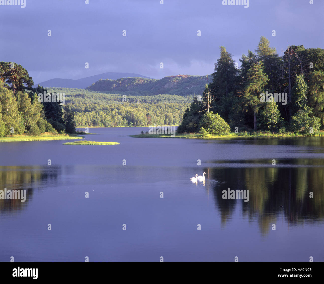 Insh island scotland hires stock photography and images Alamy