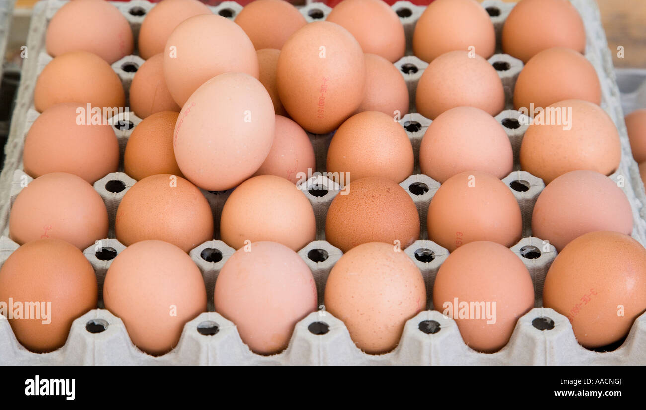 Eggs on a pallet Stock Photo