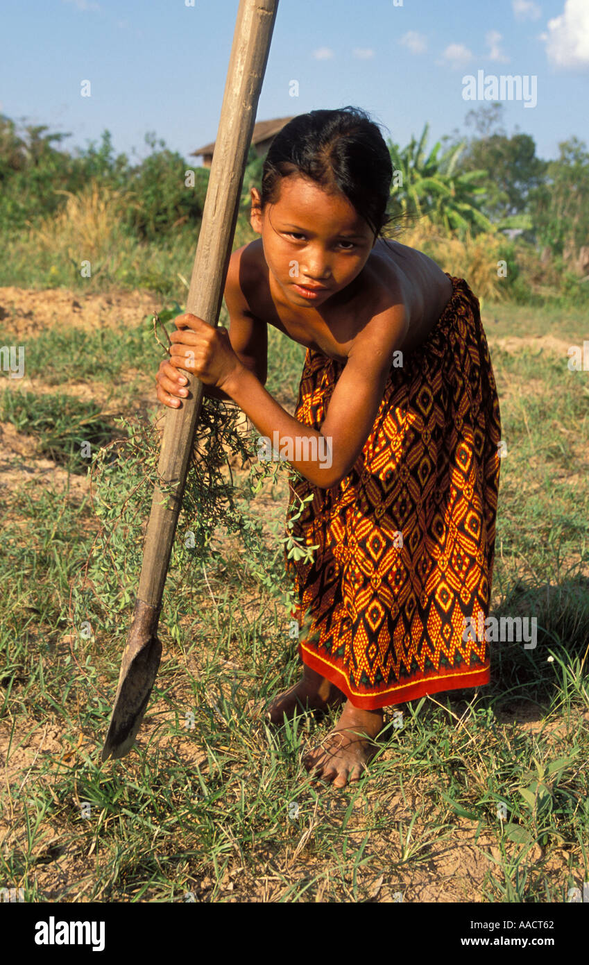 Cambodian young  girl gathers herb growing wild in the fields which is used to treat diarrhoea Stock Photo