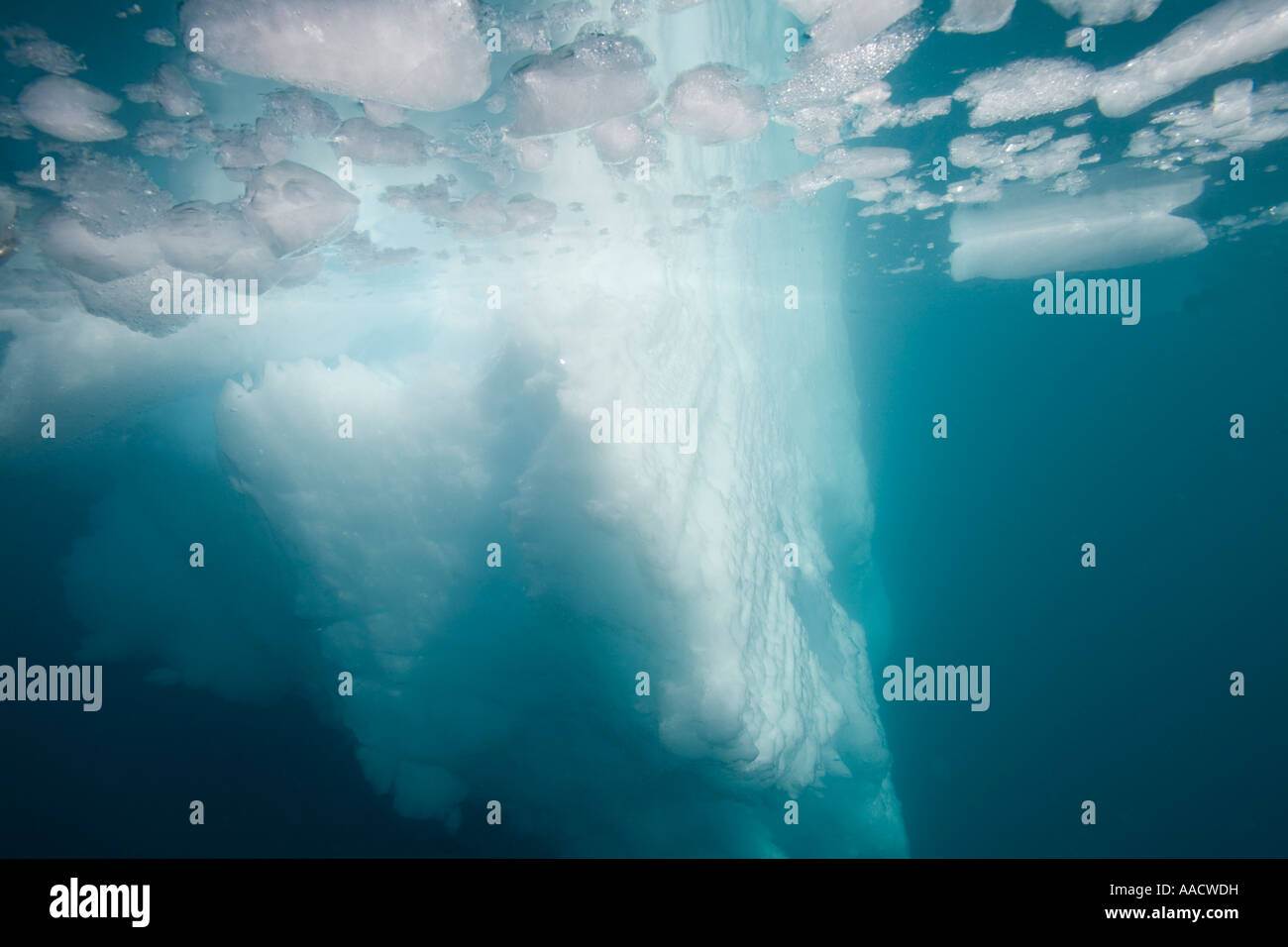 Greenland Ilulissat Underwater view of small icebergs floating along western coastline on summer
