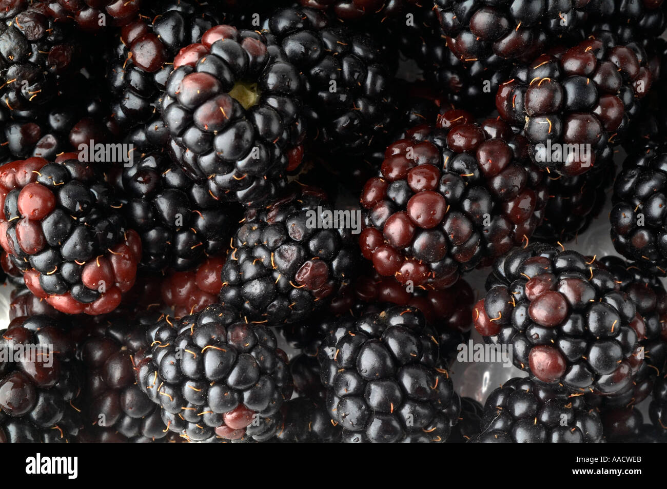 blackberry blackberries blackberry blackberries black blackberrys blue berry blueberry blueberries blueberrys Berry berries fru Stock Photo