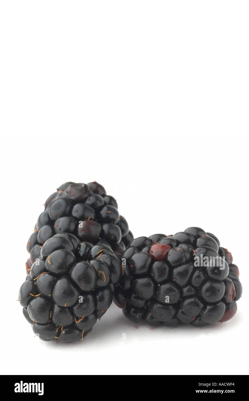 blackberry blackberries blackberry blackberries black blackberrys blue berry blueberry blueberries blueberrys Berry berries fru Stock Photo