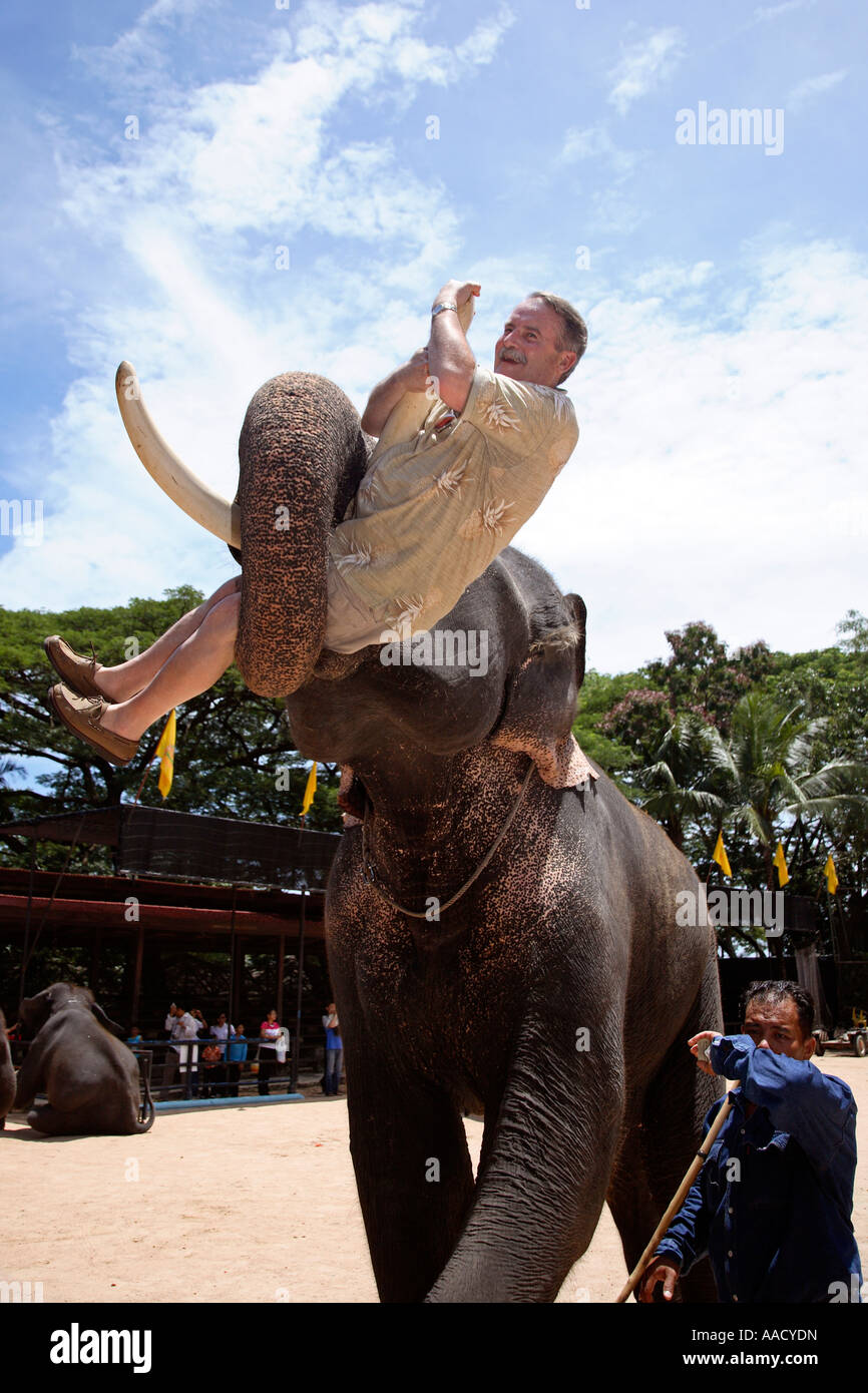 Elephant show Nong Nooch Pattaya Thailand Stock Photo Alamy