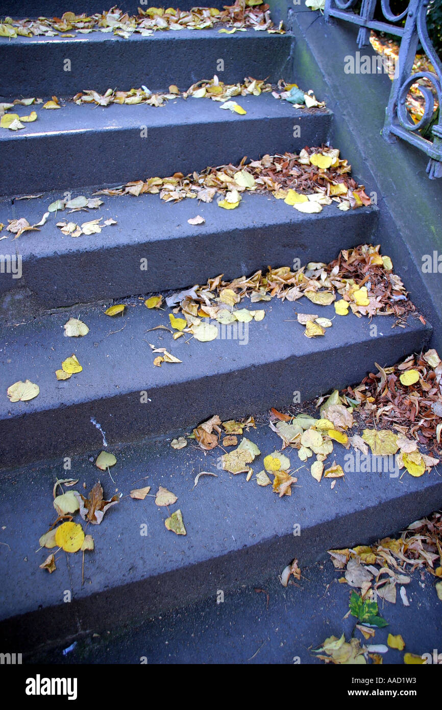 steps with autumn leaves Stock Photo