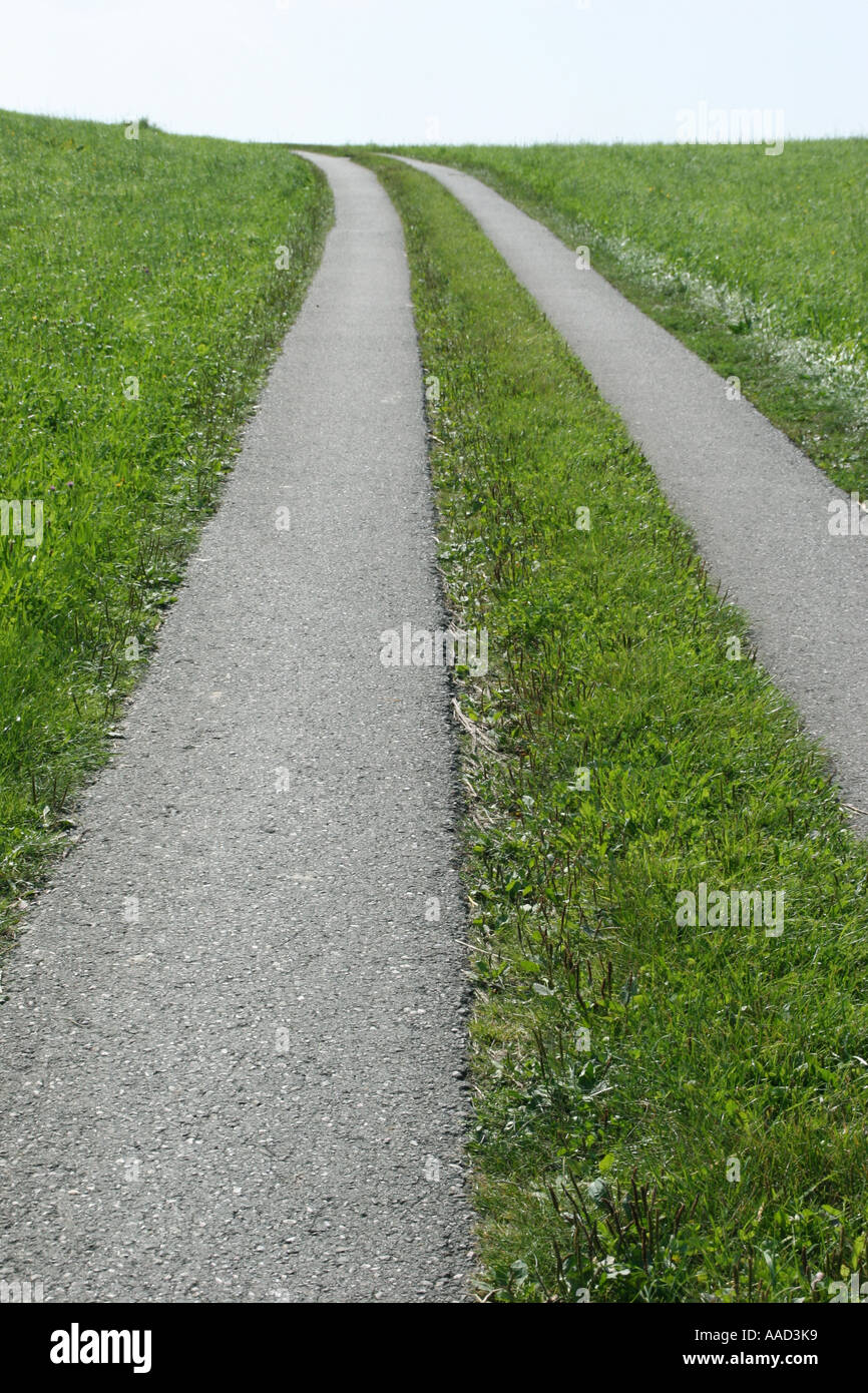 path; track Stock Photo