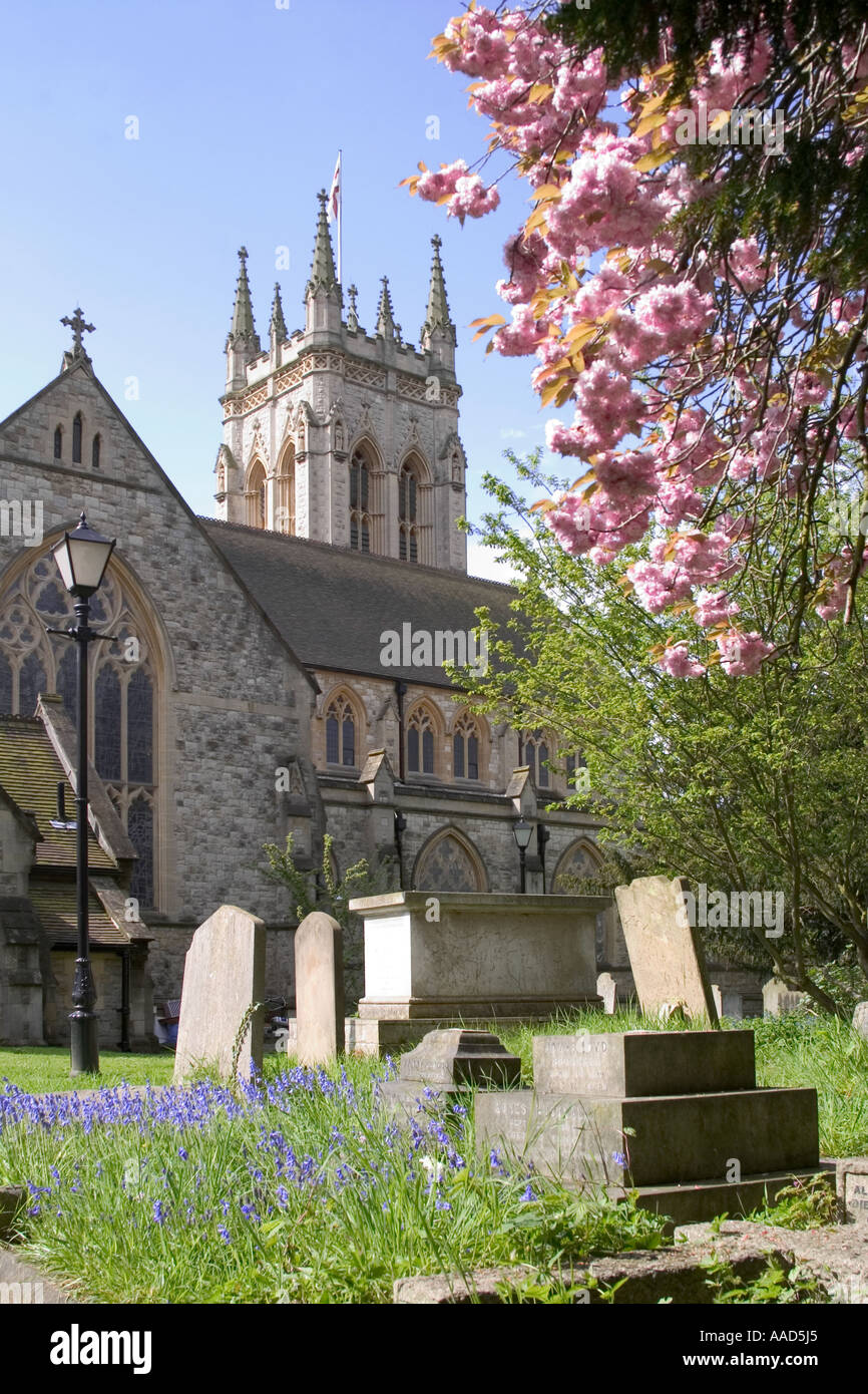 St George's Church and blossom. Beckenham, Kent, England Stock Photo