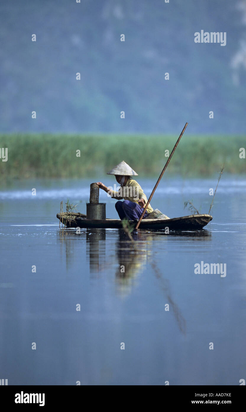 Asian woman collecting fish hi-res stock photography and images - Alamy