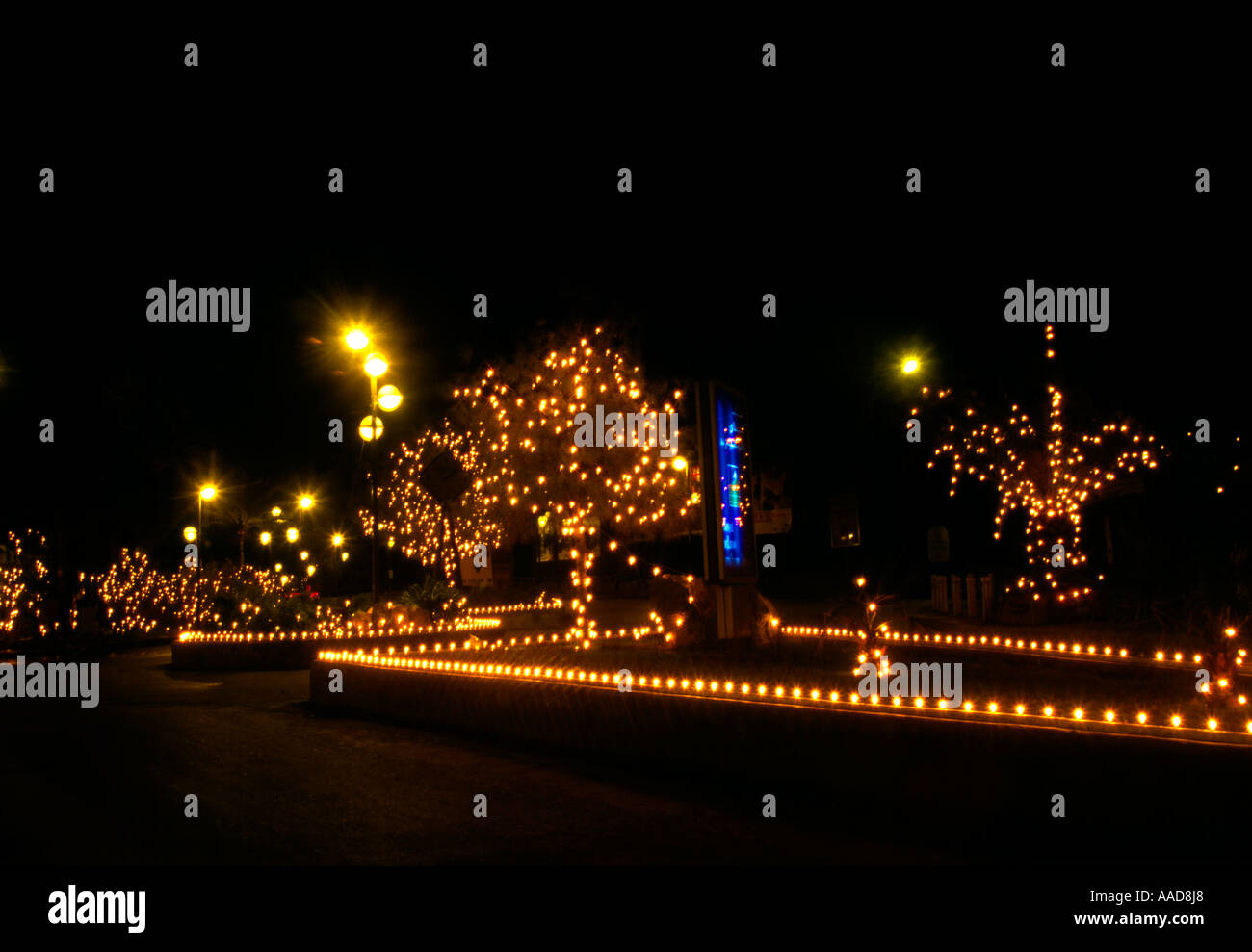 Beirut Lebanon Kaslik Christmas Lights On Palm Tree Stock Photo Alamy