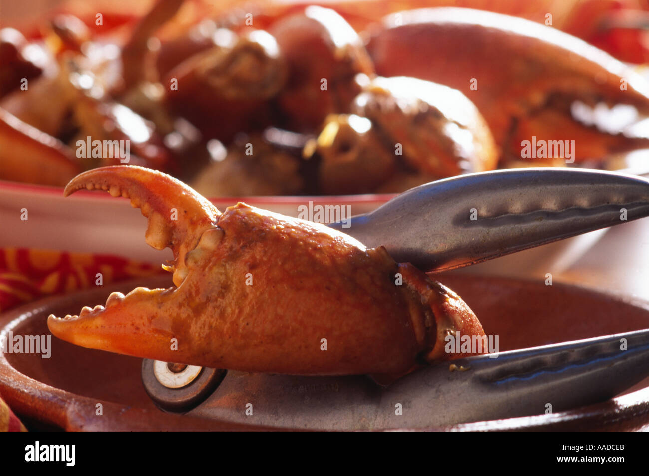Crab claws with claw cracker Stock Photo Alamy
