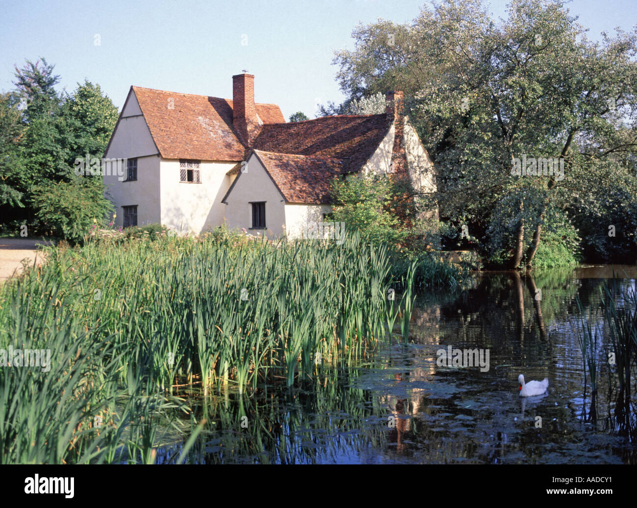 Willy Lotts Dedham Vale cottage an old house & swan on River Stour in Flatford used in John Constable Hay Wain painting Suffolk East Anglia England UK Stock Photo