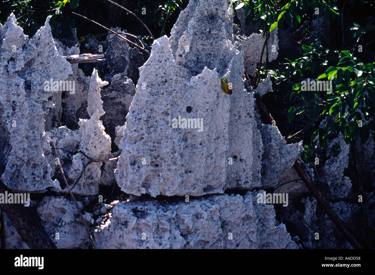 Chemical weathering limestone hires stock photography and images Alamy