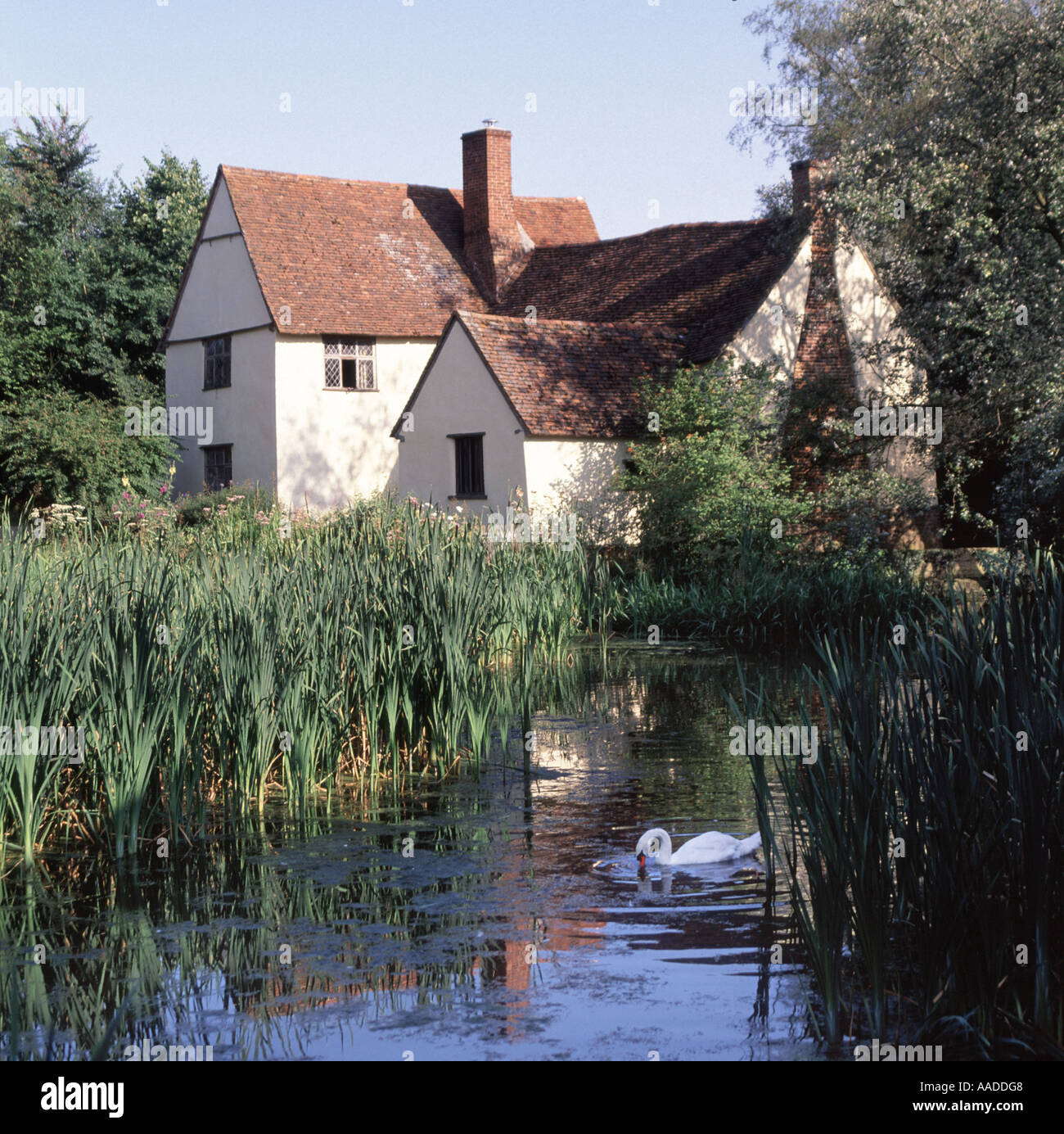 Willy Lotts Dedham Vale cottage an old house & swan on River Stour in