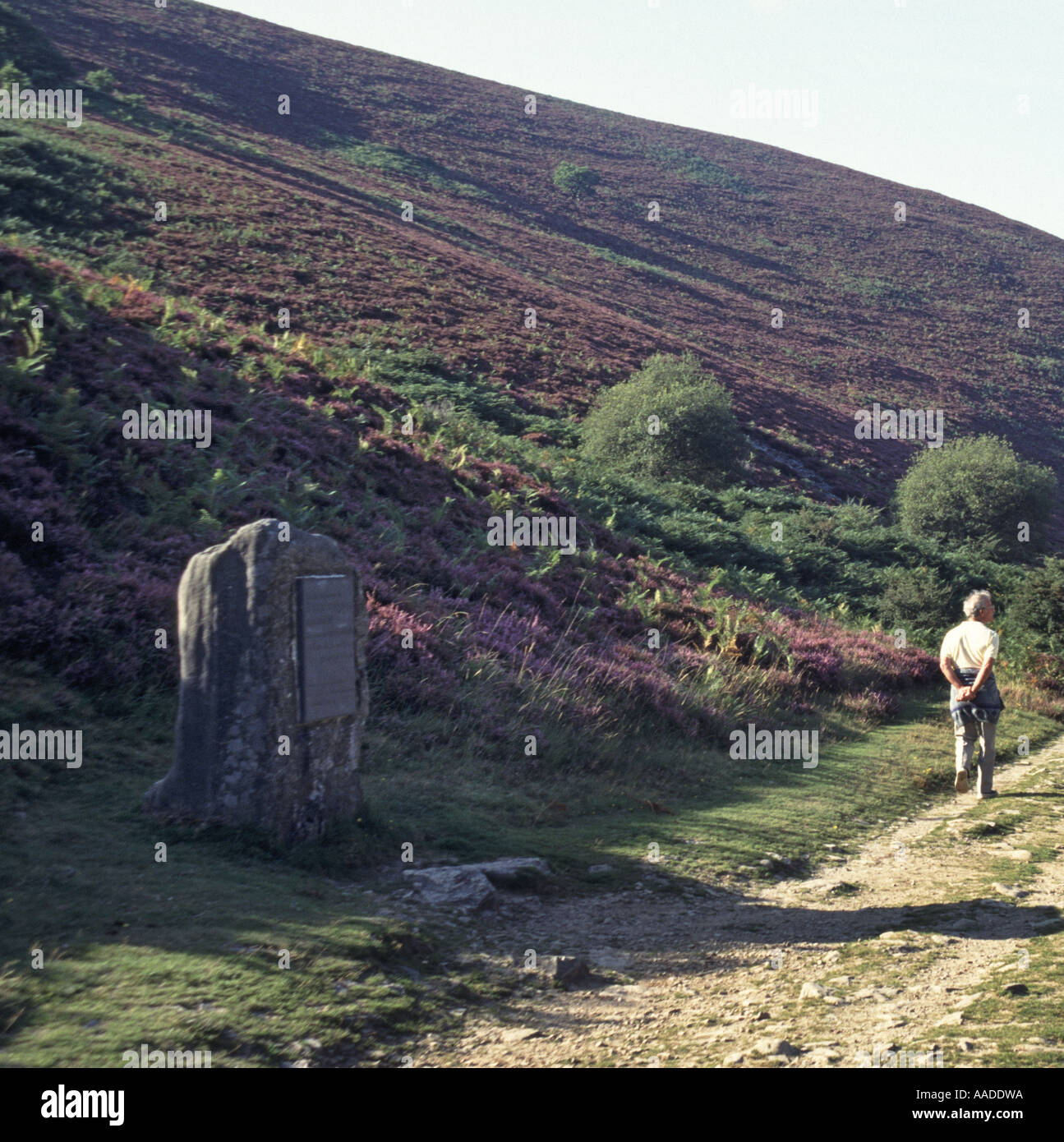 Walking on Doone Valley footpath & stone monument R D Blackmore author