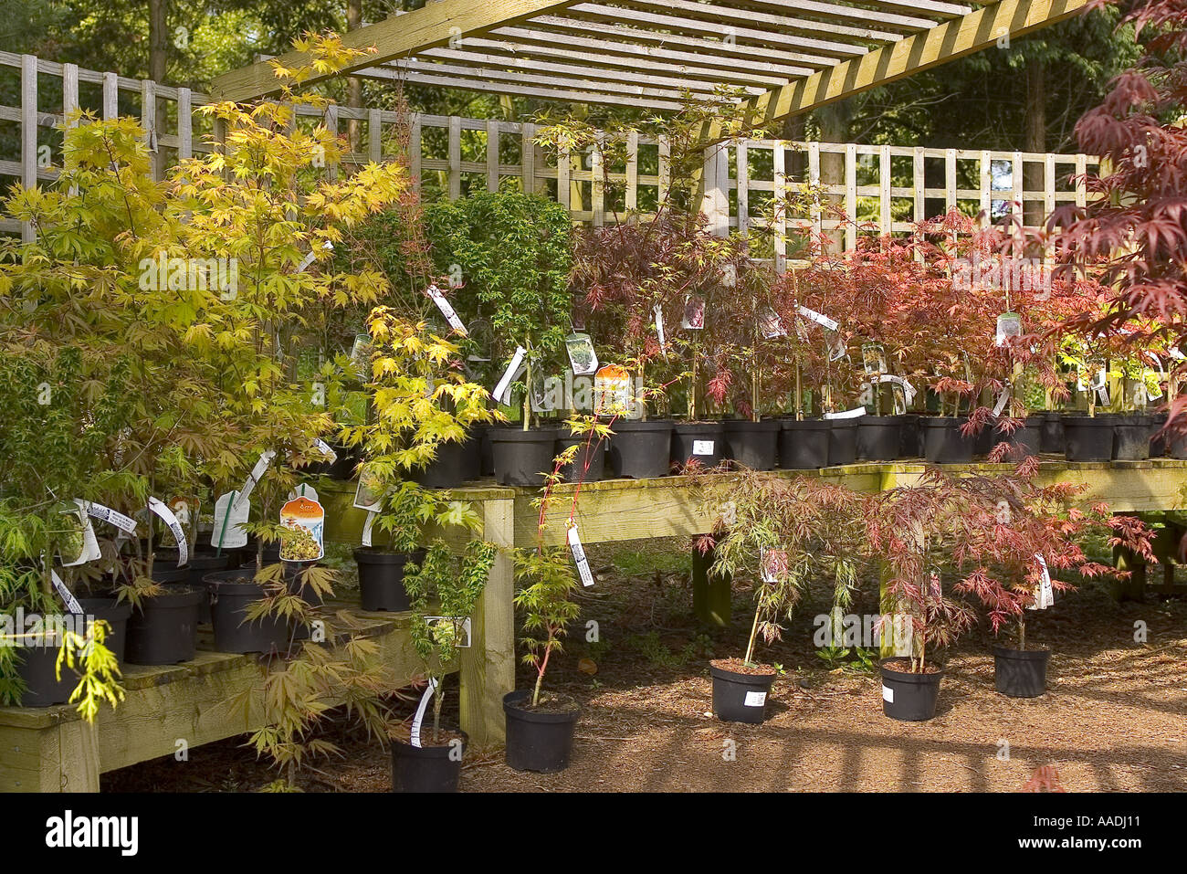 england gloucestershire the cotswolds batsford aboretum garden centre