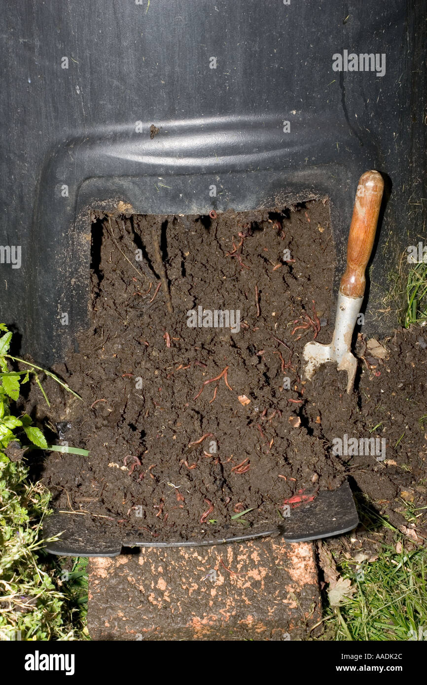 Mature compost at base of home compost bin full of red worms Cotswolds