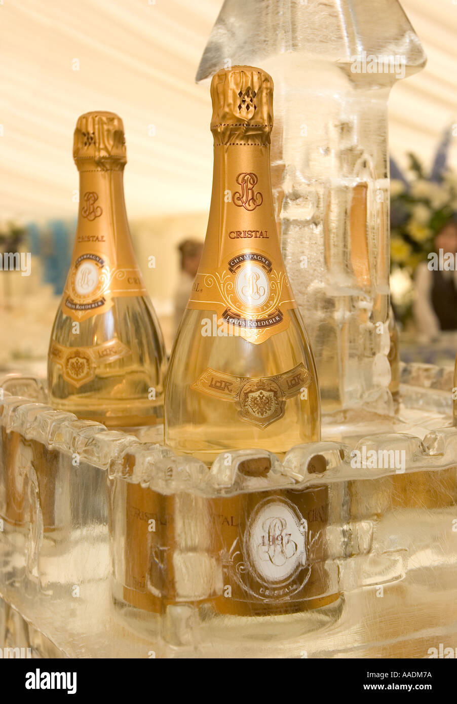 Luxury Cristal Champagne in Ice Bar Stock Photo 4112505 Alamy