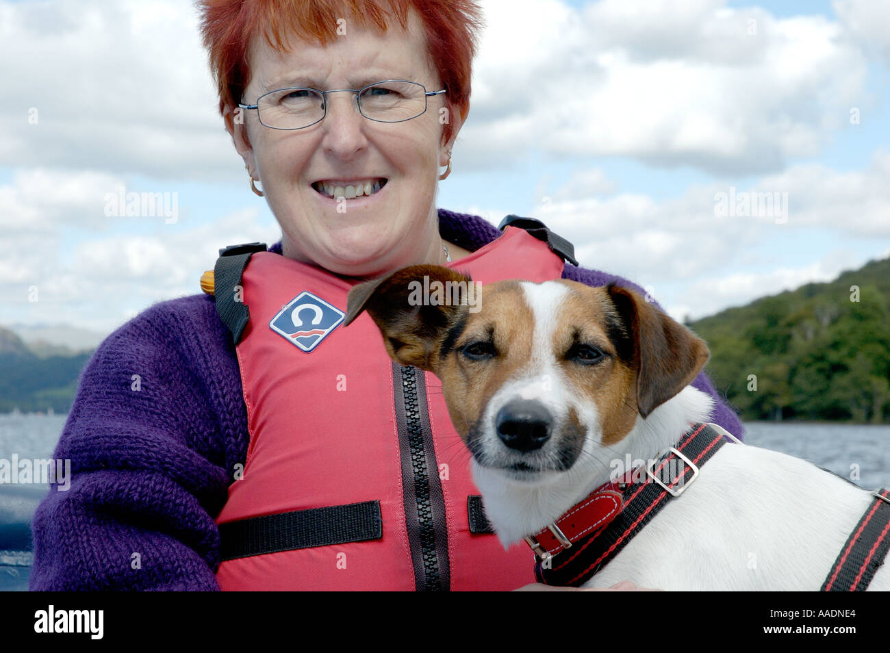 Jack russell life jacket top