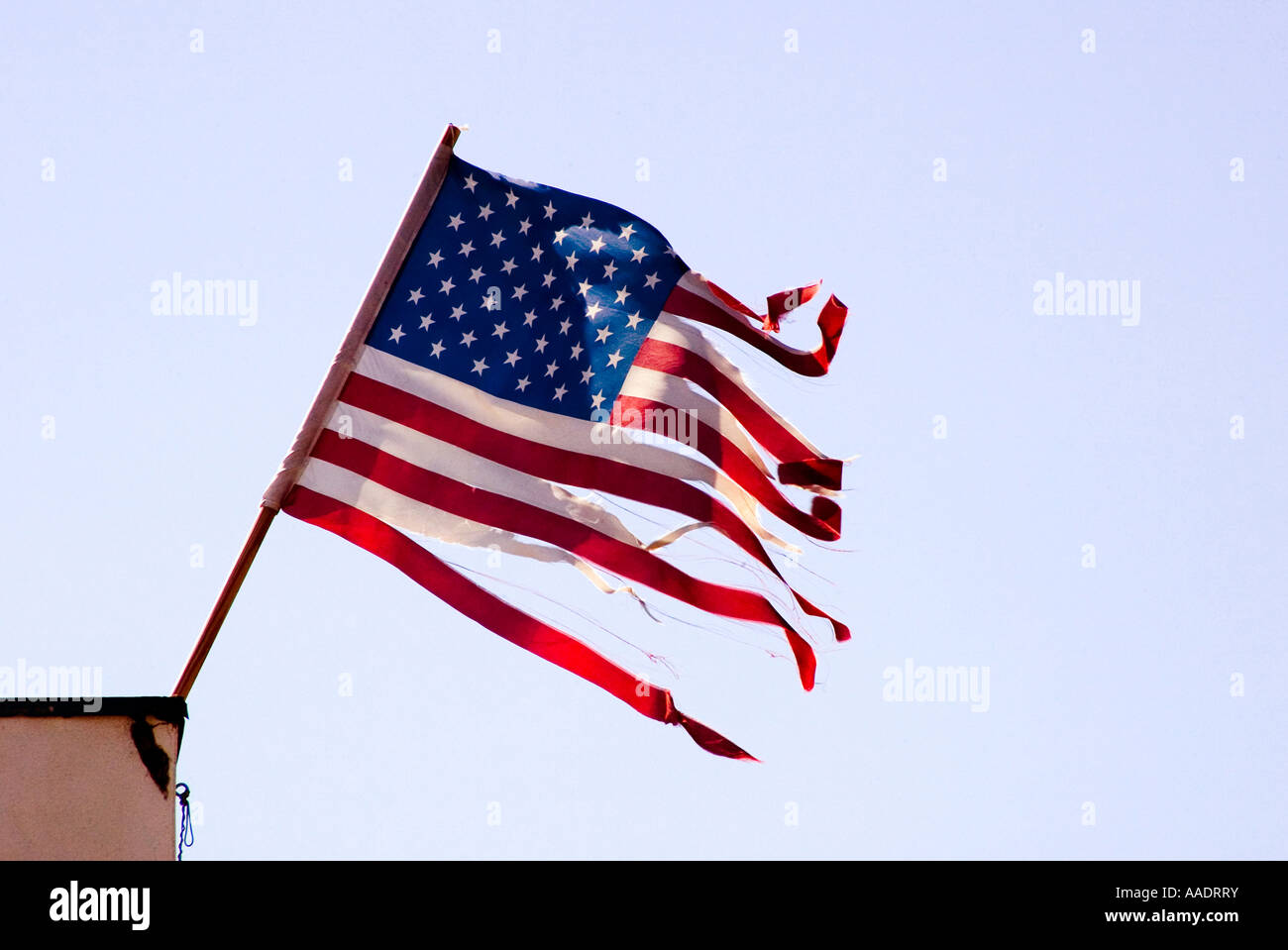 Tattered and torn American flag blows in strong wind Stock Photo