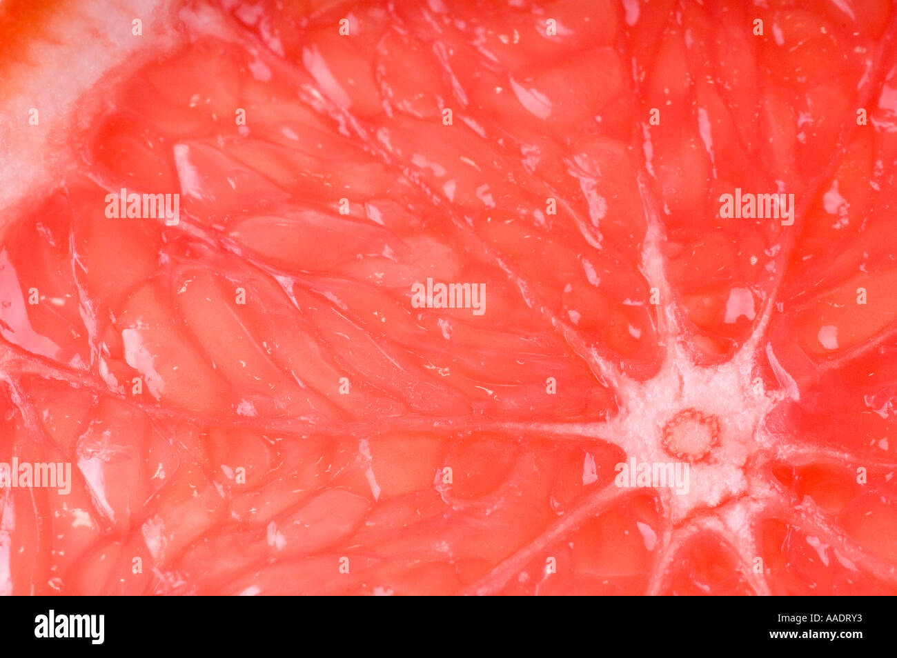 A slice of pink grapefruit Stock Photo