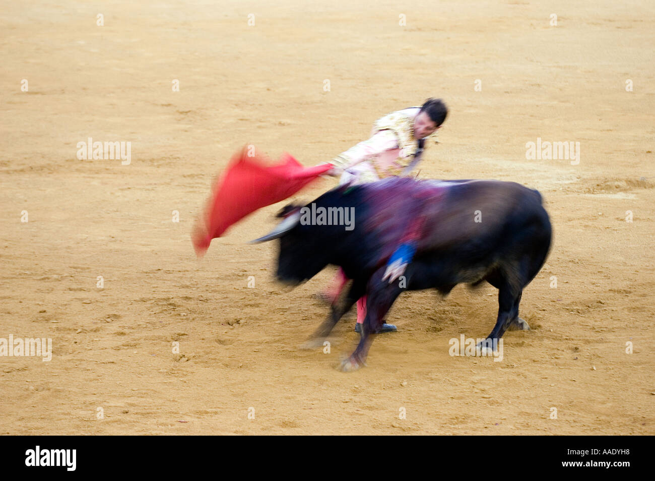 Bull fight in La Linea Spain Stock Photo Alamy