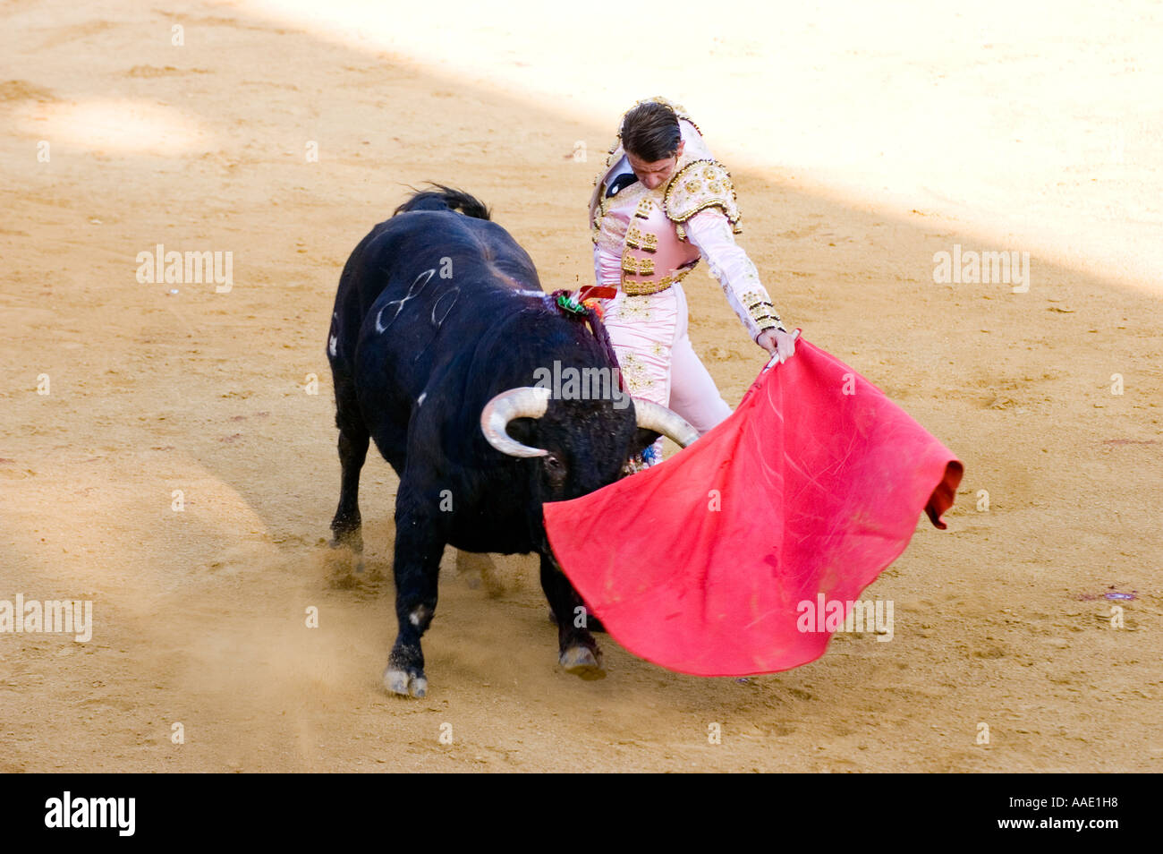 Bull fight in La Linea Spain Stock Photo Alamy