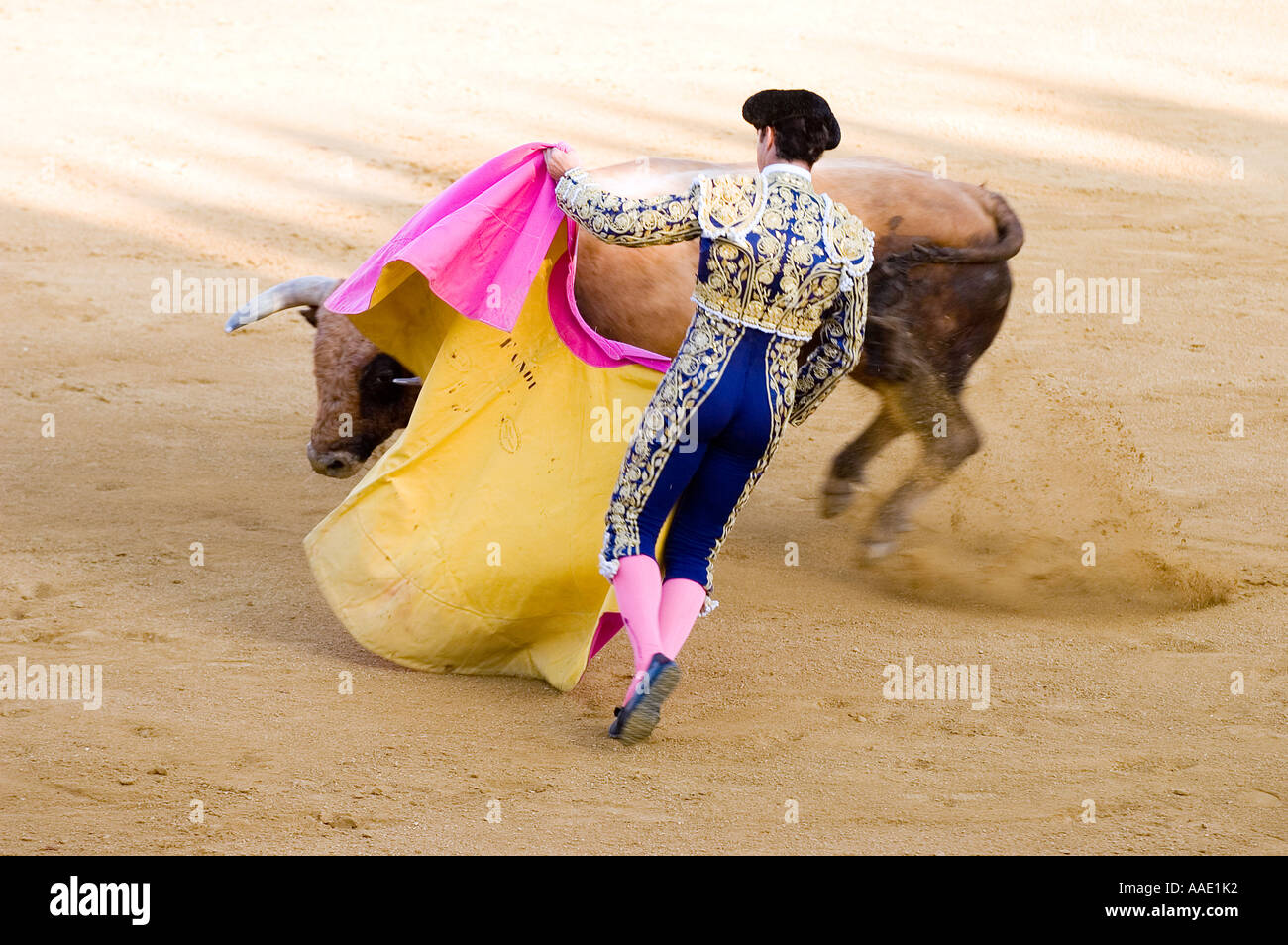Bull fight in La Linea Spain Stock Photo Alamy