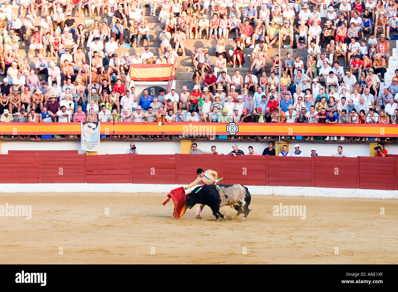 Bull fight in La Linea Spain Stock Photo Alamy