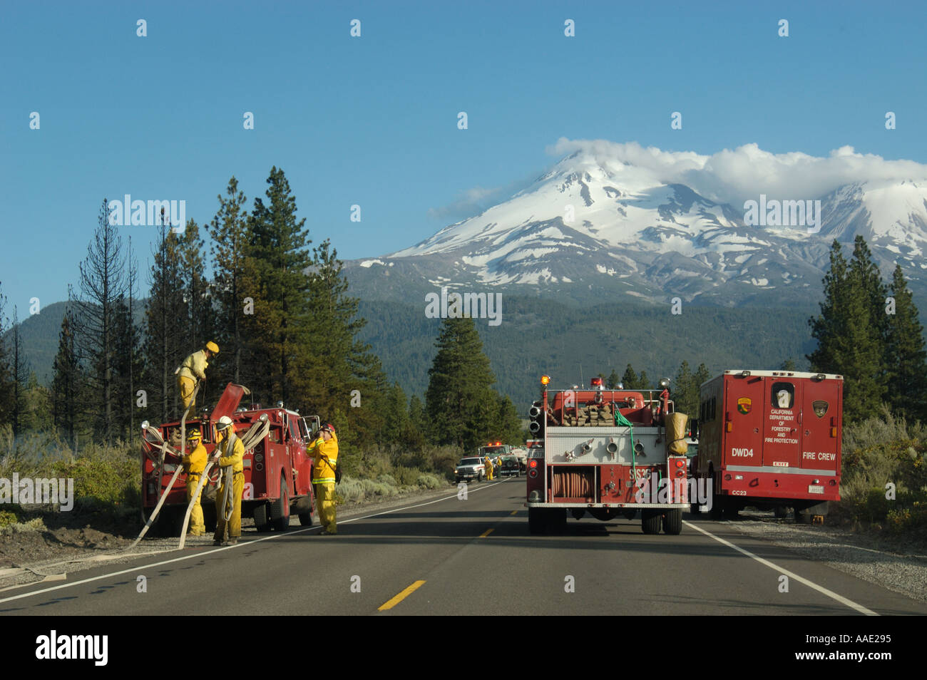 Image result for photos of mt shasta fire