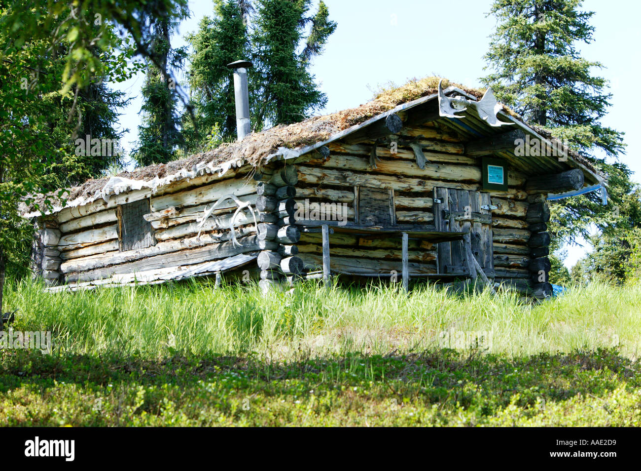 Old Alaska Trapper Cabin Stock Photo