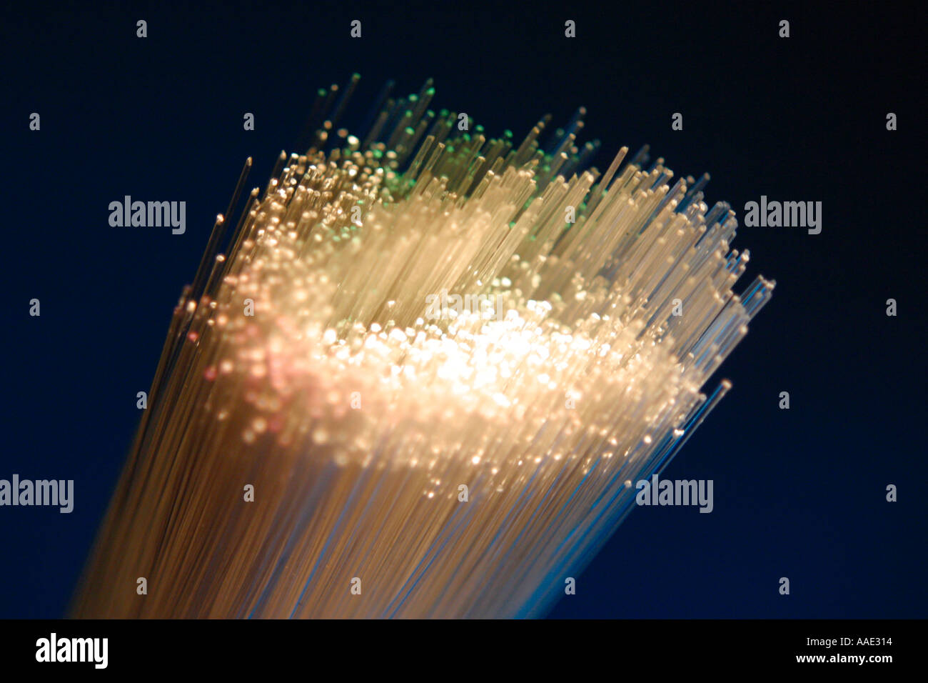 Fibre optic bundle Stock Photo Alamy