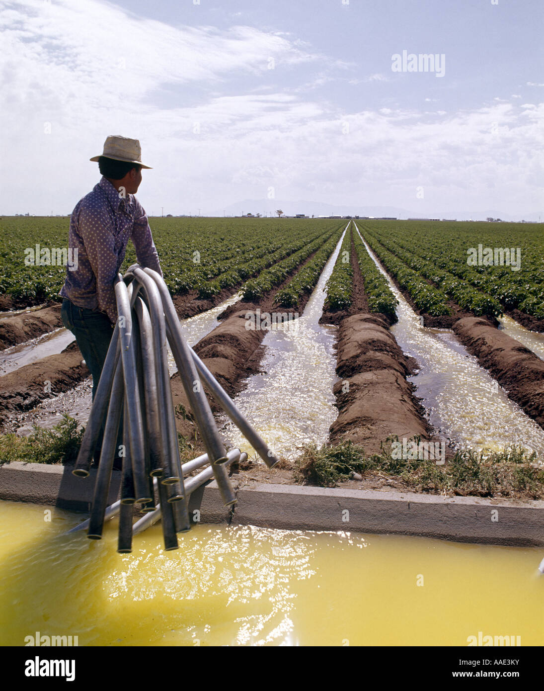 APPLYING LIQUID FERTILIZER INTO IRRIGATION WATER COLORADO Stock Photo