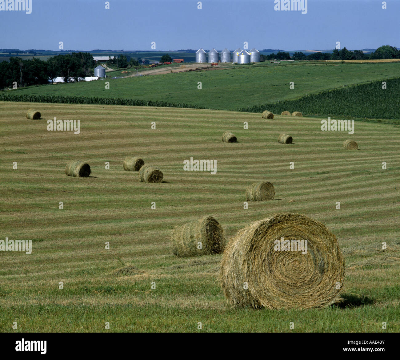 BALED GRASS HAY SW OF BELDEN NEBRASKA Stock Photo Alamy