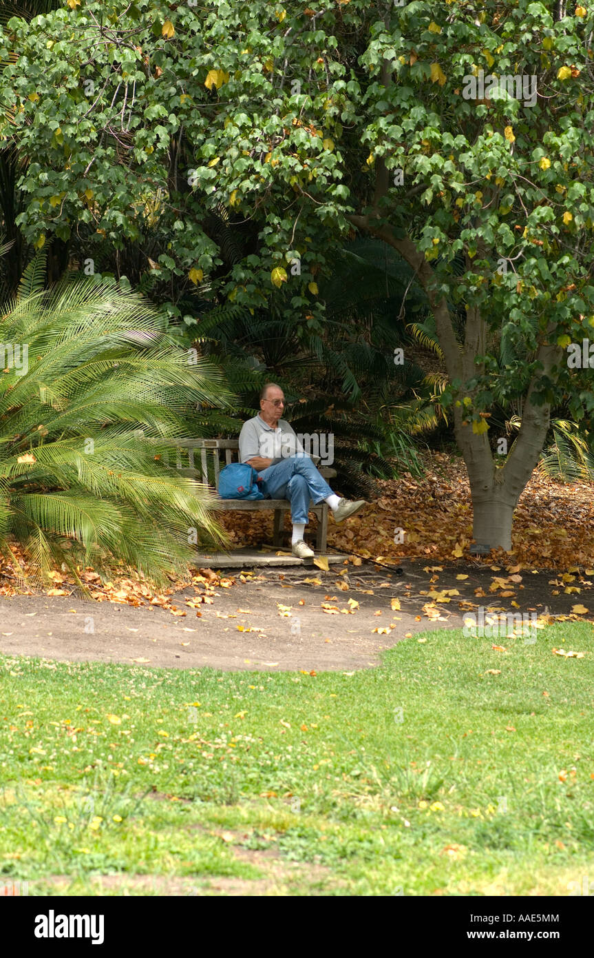 An elderly man sitting on the bench in the park Stock Photo - Alamy
