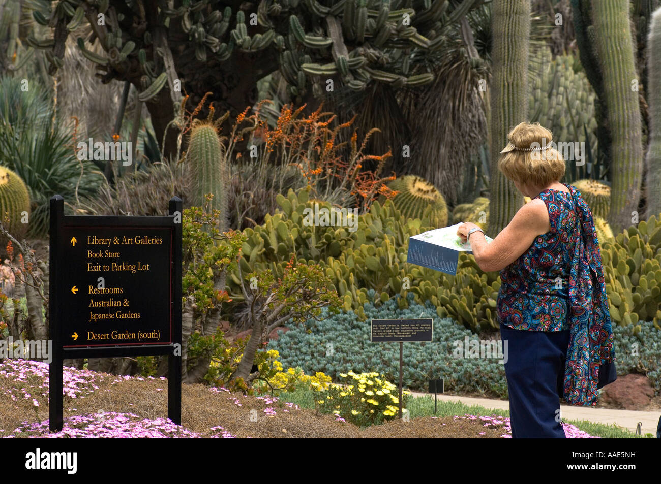 Elderly Woman Looking For Directions On The Map Of Botanical