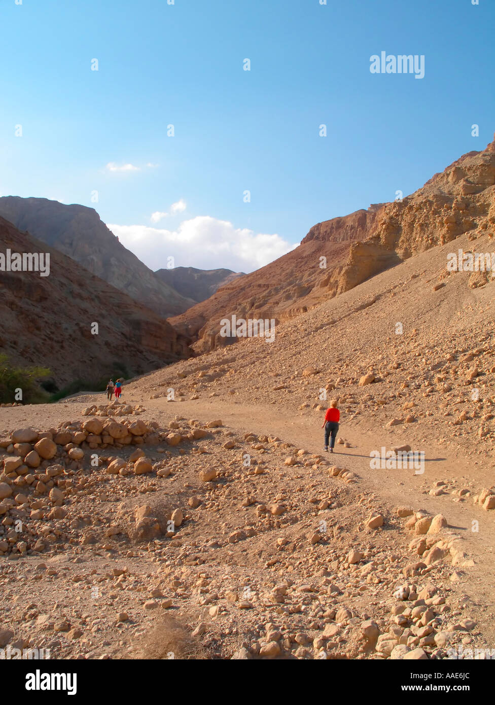 Strolling in desert Stock Photo