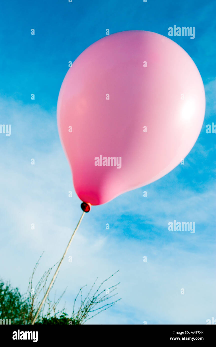 Single pink balloon Stock Photo